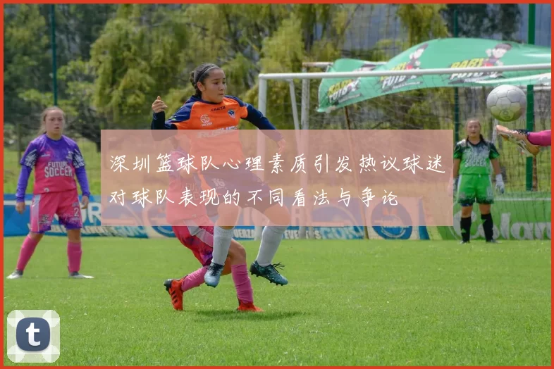深圳篮球队心理素质引发热议球迷对球队表现的不同看法与争论